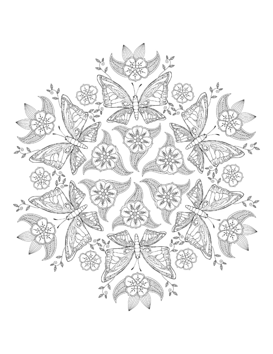 Butterfly Detailed Flowers Butterflies Mandala Tracing Worksheets Pdf Free Vectors